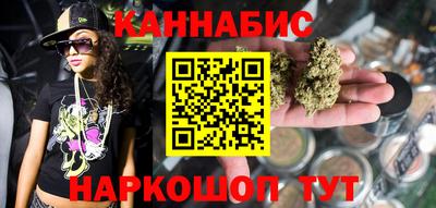 сатива Гатчина