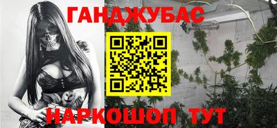 сатива Гатчина