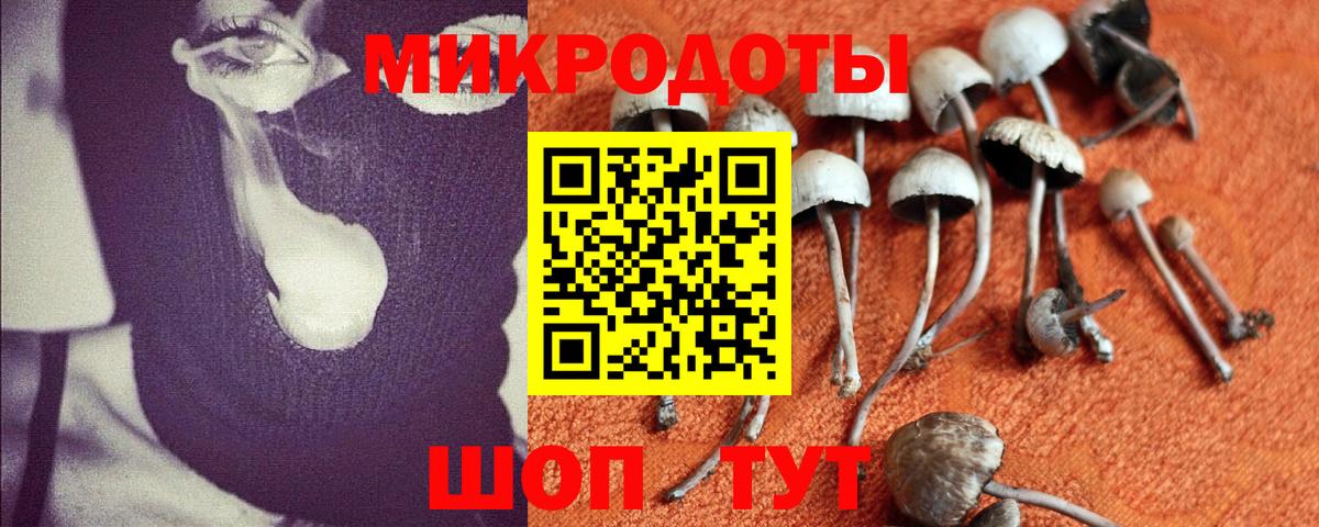 Галлюциногенные грибы Psilocybe  Вход с VPN  Батайск  Галлюциногенные грибы GOLDEN TEACHER 