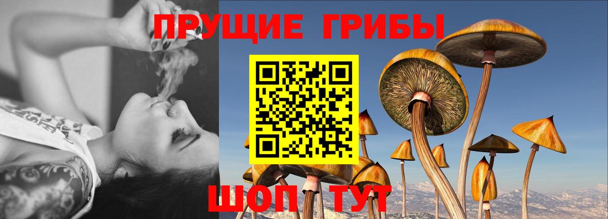 Галлюциногенные грибы мухоморы Батайск